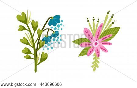 Fantasy Flowers Set. Floral Natural Decoraion Design Vector Illustration