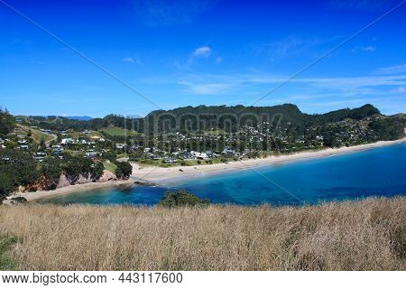 Coromandel Landscape In New Zealand. Hahei Beach.