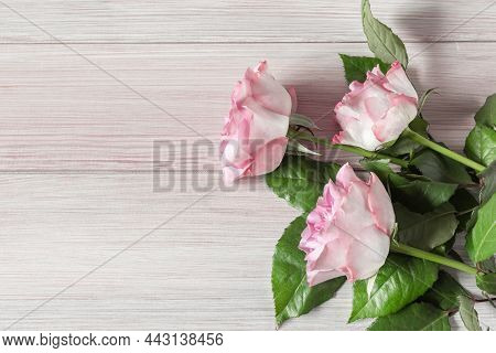 Hree Fresh Beautiful Roses On A Light Wooden Background For The Design Of A Greeting Card For Mother