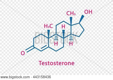 Testosterone Chemical Formula. Testosterone Structural Chemical Formula Isolated On Transparent Back