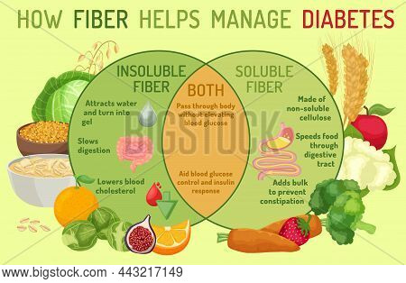 How Dietary Fiber Helps Manage Diabetes. Medical Infographics