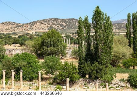 Geyre, Turkey - May 30, 2021: These Are The Ruins Of Ancient Aphrodisias, Named After The Goddess Ap