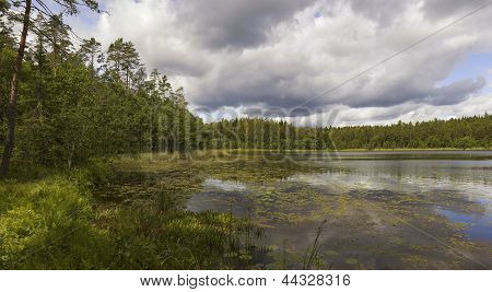 Wood Lake.