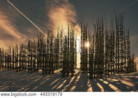 The Vegetable Cathedral On The Italian Pre-alps In The Province Of Bergamo Monte Arera