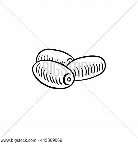 Dates, Vector Drawing Sketch Of Fruit Isolated Atw Hite Background, Hand Drawn Illustration