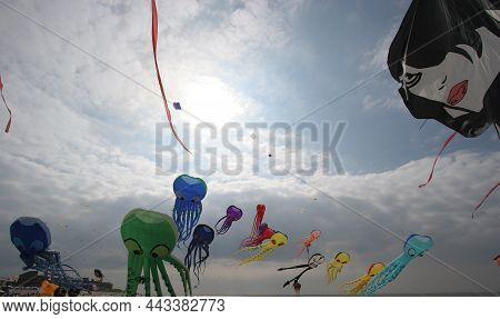 Kites On The Beach Of Berck, France
