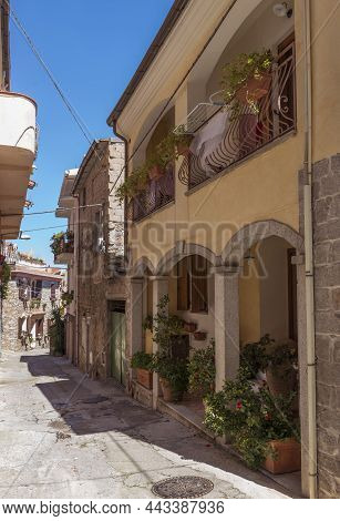 Small Street In Orgonsolo Sardinia With Plants And Flowers In The Street And Windows With Shutters A