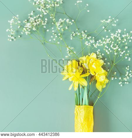 Holiday Spring Composition With Yellow Narcissus And Gypsophila On A Blue Background With Copy Space