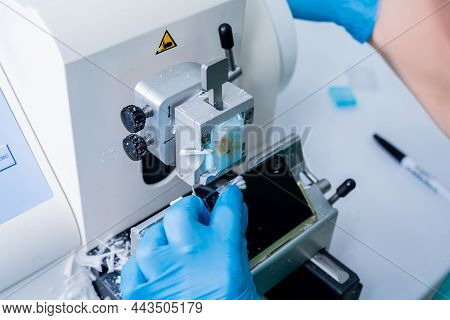 Laboratory Assistant Works On A Rotary Microtome Section And Making Microscope Slides