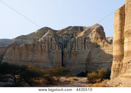Oásis no deserto