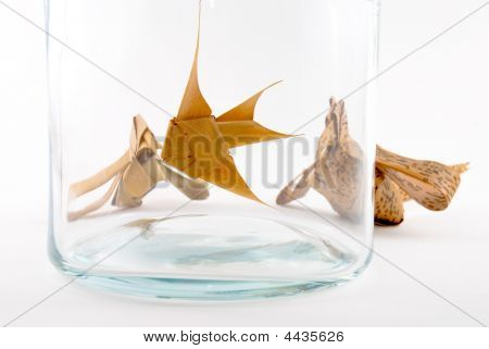 鳥の魚周りガラスの瓶