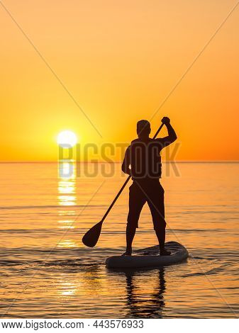 A Man Is Rowing Across The Ocean On A Sup Board Against The Background Of The Rising Sun. Stand Up P