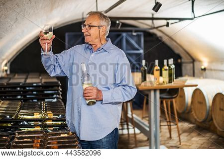 Portrait Of Senior Man Who Owns Winery. He Is Examining Quality In His Wine Cellar. Industry Wine Ma
