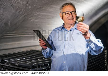 Portrait Of Senior Man Who Owns Winery. He Is Examining Quality In His Wine Cellar. Industry Wine Ma