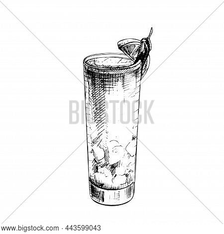 Tequila Sunrise Cocktai With Cherry And Slice Orange. Vector Vintage Hatching Color Illustration. Is