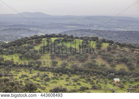 Sierra De San Pedro Dehesas, Alburquerque, Extremadura, Spain. View Taken From San Blas Craig