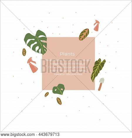 Hand Drawn Illustration Of Houseplants Such As Alokasia, Monstera And Maranta, As Well As With Shove