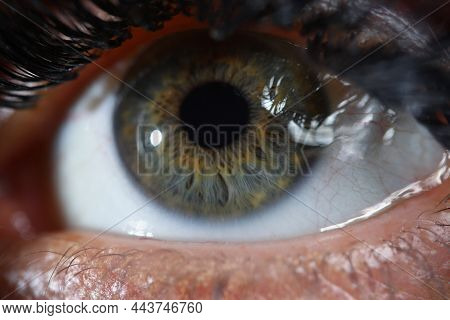 Close-up Of Beautiful Green Woman Eye With Mascara Makeup Product. Macro Shot Of Human Eye With Poof