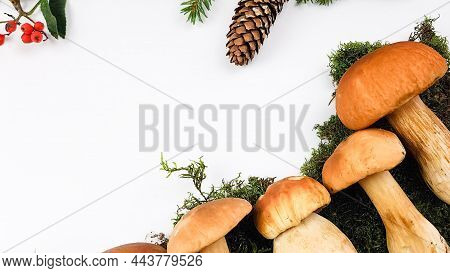Autumn Noble Mushrooms Top View. Autumn Background Of Porcini Mushrooms, Moss, Fir Cones And Autumn 