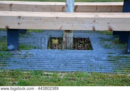 Massive Bench In The Park Under A Tree In The Park Urban Style Beam Shape On Metal Legs In The Squar