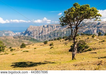 View Of Rocche Del Crasto Near Alcara Li Fusi Town In The Nebrodi Park, Sicily