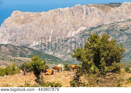 View Of Rocche Del Crasto Near Alcara Li Fusi Town In The Nebrodi Park, Sicily