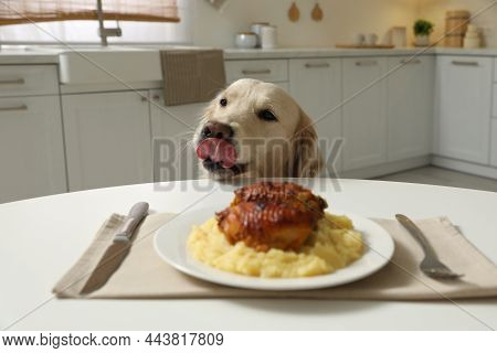 Cute Hungry Dog Near Plate With Owner's Food At Table In Kitchen