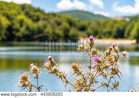 Maulazzo Lake In Nebrodi Park, Sicily, Italy