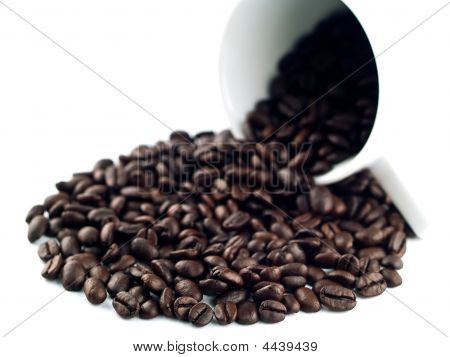 บ่อถ้วยกาแฟ