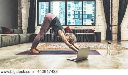 Nice Woman Practicing Yoga, Doing Down Dog Exercise, Watching Online Yoga Lessons By Her Laptop, Yog