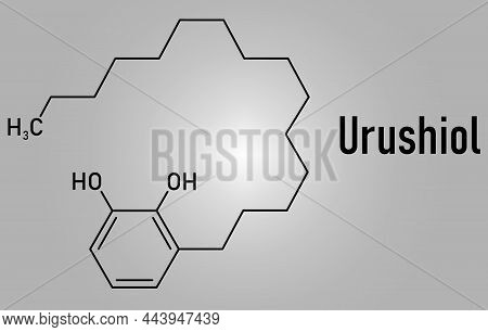 Urushiol Poison Ivy Allergen Molecule. Also Present In Poison Oak, Lacquer Tree And Poison Sumac. Ur
