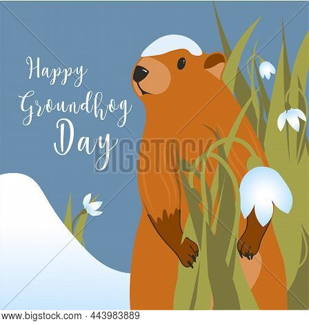 Groundhog Day Card. The Harbinger Of Spring. Cute Marmot Character. February 2. Vector Illustration 