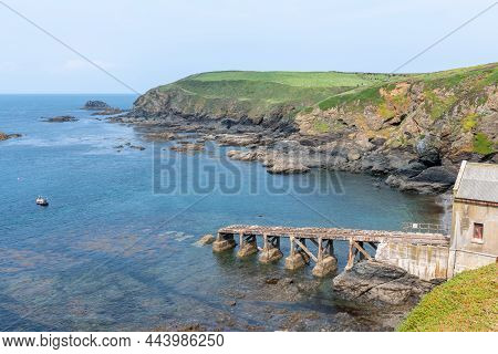 The Lizard In Cornwall