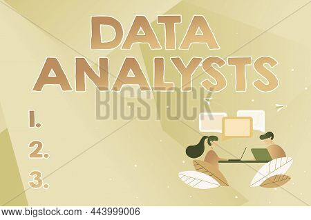 Text Sign Showing Data Analysts. Internet Concept Programmer Design And Create Report Identifies Pat