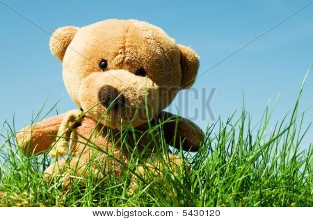 Ours en peluche sur l'herbe