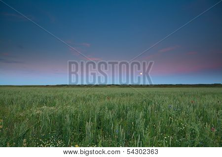 Full Moon Over Wheat And Barley Field