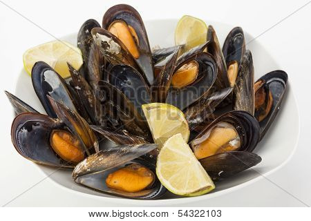 Plate Of Coocked Mussels With Lemon Isolated Over White