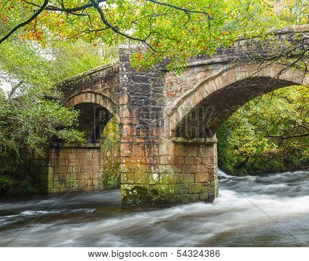 Newbridge Dartmoor Devon