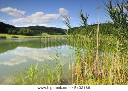 See im Wald