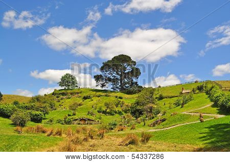 Hobbiton cottage