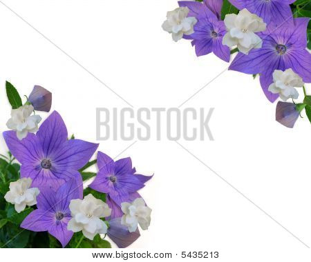 Floral Border Blue Balloon Blumen