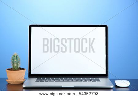 Laptop and cactus in flowerpot on wooden table on blue background