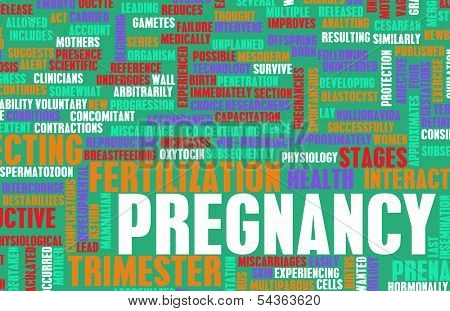 Pregnancy Concept Preparation of an Expecting Parent