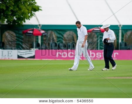 Stephen Harmison