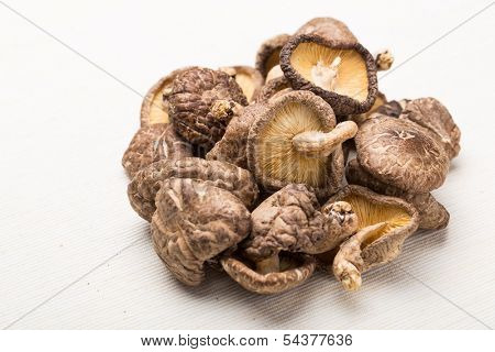 Dried mushrooms isolated on white