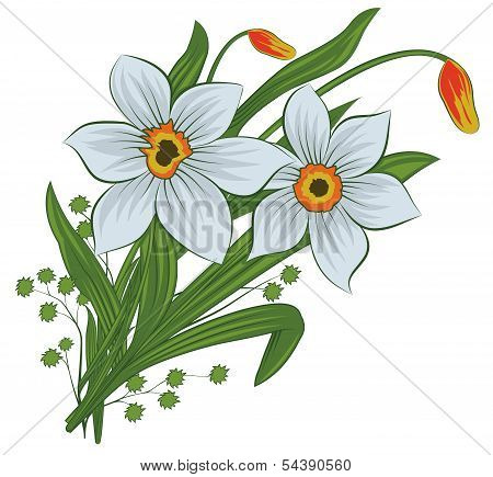 Beautiful tulip and narcissus flowers