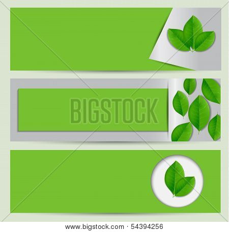 Green Eco Banner Set With Leaves