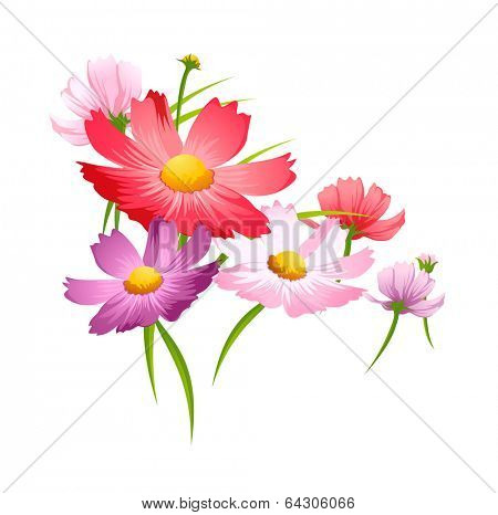 vector icon flower