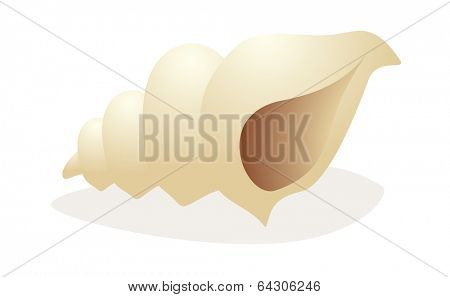 vector icon trumpet shell