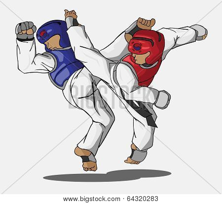 taekwondo martial art